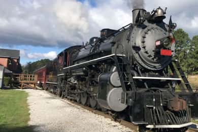 Chattanooga: Derailed Trolley Tour and Train Ride