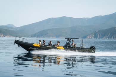 Depuis Porto : Tour en bateau semi-rigide des criques de Piana et de Scandola