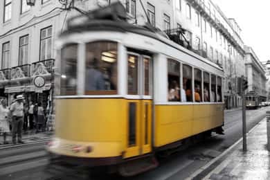 Vanuit de Algarve: stadstour door Lissabon met winkelen