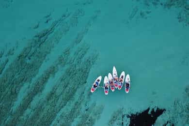 From Zadar: Full Day Dugi Otok Guided Paddle Board Tour