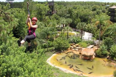 Gatorland Zipline Adventure w/ Full-Day Park Access