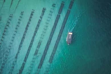 Port Lincoln: Coffin Bay Seafood, Wine, and Nature Day Trip