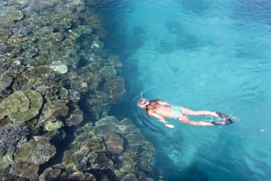 Fiji: South Sea Island Combo Half Day Trip with Lunch