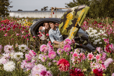 Lisse: Drive-it-Yourself Summer Flower GPS Audio Tour