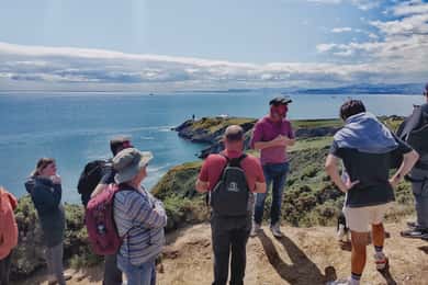 Dublin: Dublin Coastal Hike and Pints & Puppies