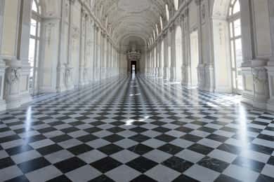 Fra Torino: La Venaria Reale privat tur med adgangsbillet