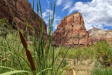 From Las Vegas: Zion National Park Small Group Adventure