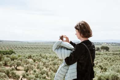 Jaén: Onvergetelijk bezoek aan de olijfmolen + EVOO proeverij