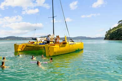 Whitianga: Sailing Trip to Cathedral Cove