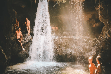 Tetebatu: Rice Fields, Waterfall, & Monkey Forest Day Tour