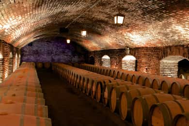 Santiago: Visita às vinhas da Concha y Toro com transfer e degustação