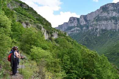 Zagori: Vandring i Vikos Gorge