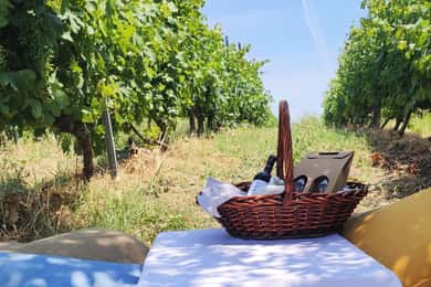 Monferrato: Garetto Wine Estate Tour and Picnic Private
