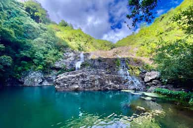 Från Quatre Cocos: Tamarind Falls vandringsdagstur