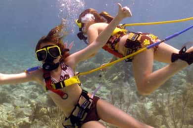 St. Thomas: Coral World Park SNUBA-tur med certificeret guide