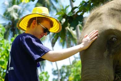 Koh Samui: Halvdag i etisk elefantreservat med mudderspa