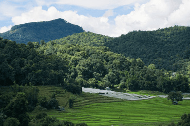De Chiang Mai: viagem de um dia ao Parque Nacional Doi Inthanon e caminhada
