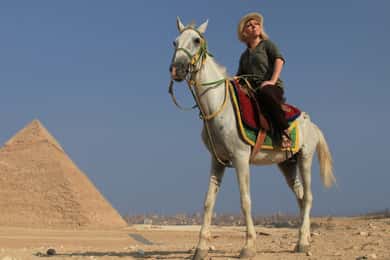 Giza: Arabian Horse Tour Around the Giza Pyramids