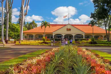 Oahu: Oahu Ultimate Grand Circle Island Tour