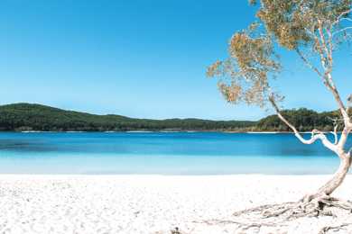 Depuis Rainbow Beach : excursion en autocar de deux jours à K'gari, île Fraser