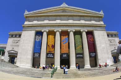 Chicago : Museo Field Visita guiada de 2 horas sin colas