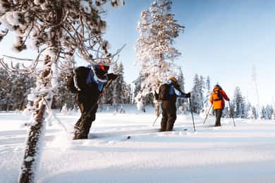 Rovaniemi: Ski Trekking Safari na Lapônia