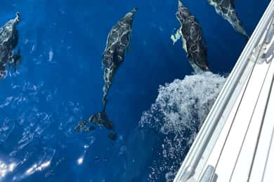 Morro Jable: Sailing Boat Excursion with Food and Drinks