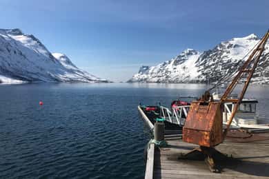 ترومسو: جولة بحرية خاصة وشاحنة صغيرة في الميناء مع مشروب ساخن