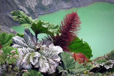 Desde San José: Excursión al Cráter del Volcán Irazú y Viaje a Cartago