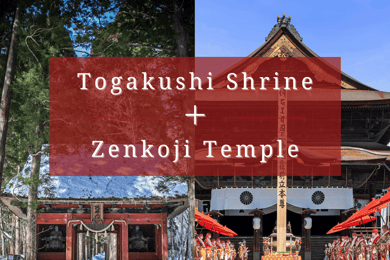 【Private】[Santuario Togakushi+Templo Zenkoji]Desde Nagano/Myoko