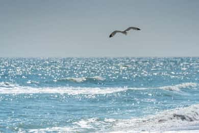 Black Sea from Bucharest, Small Group Tour, up to 7