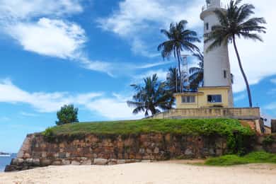 Negombo: Turtle hatchery, River safari, moon stone & Galle