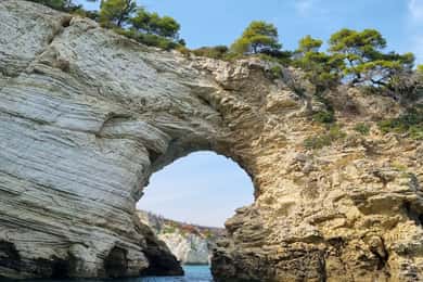 Vieste: Bootsausflug an der Südküste mit Badestopp
