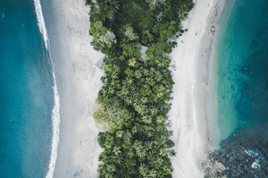 Desde San José: Día completo en el Parque Nacional de Manuel Antonio
