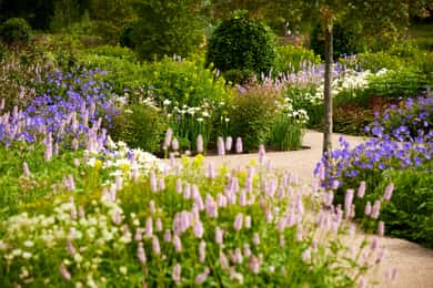 Bridgewater: ingresso para o jardim da Royal Horticultural Society