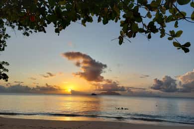 Seychelles: Best of Mahe Private Tour