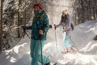 Desde Interlaken: Excursión con raquetas de nieve por el sendero del Wetterhorn