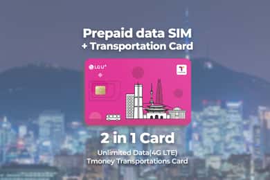 Incheon Airport: Traveler SIM & T-money Transportation Card