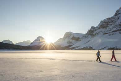 Tromsø: Snöskovandring i naturskönt landskap