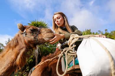 Agadir/Taghazout/Puerto: Opción de paseo en camello Té y barbacoa