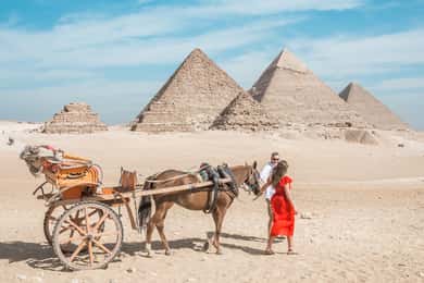 Cairo: Half Day Pyramids Tour by Camel or Horse Carriage