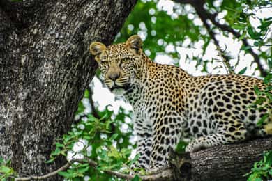 Sri Lanka: 7-Day Off-The-Beaten Path Private Tour