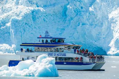 Seward: Kenai Fjords National Park Catamaran Cruise w/Lunch