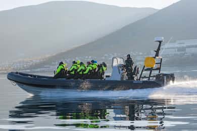 Tromsø: Skjervøy RIB-valskådningstur