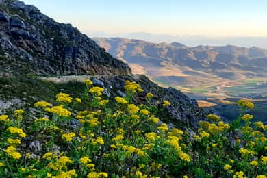 Oudtshoorn: Privat guidet halvdagstur med Swartberg Pass