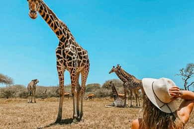 Guided Nature Walk Amongst Giraffes