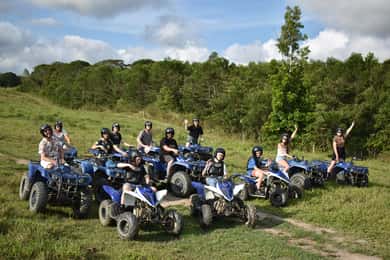 From Cairns: Kuranda Day Trip with Petting Zoo and Quad Ride