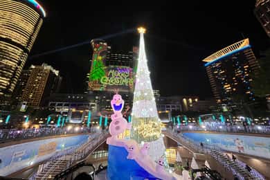 Taipei: Walking Christmas Photography and Shopping Tour