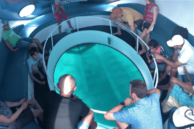 George Town: Historical Shipwrecks Glass-Bottom Boat Tour