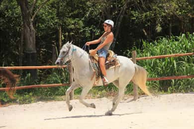 Tulum: paardrijden in de jungle met transfers en lunch